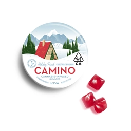Camino Holiday Punch Gummies