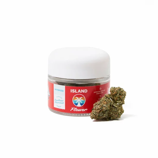 Island Eighth Jar w/nug