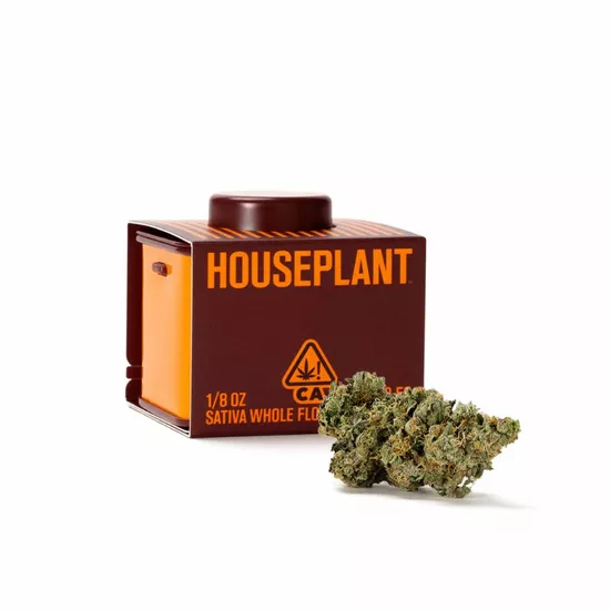houseplant sativa cannabis flower by seth rogen