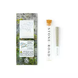 Stone Road - Tropicana Punch (H) Hash-Infused Single Pre-Roll (1 Gram)