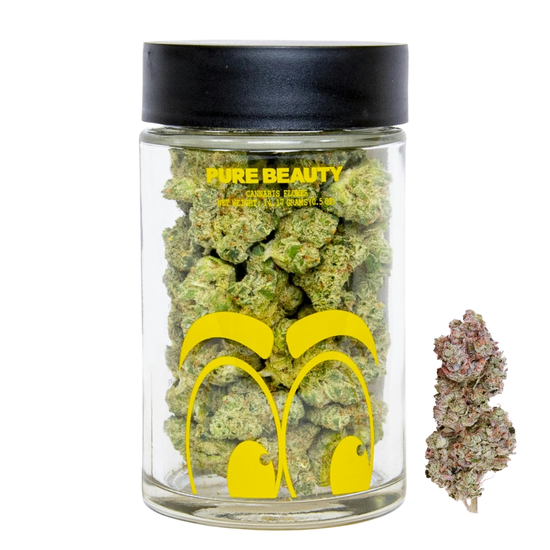 pure beauty - 14g - Crescendo - weed delivery